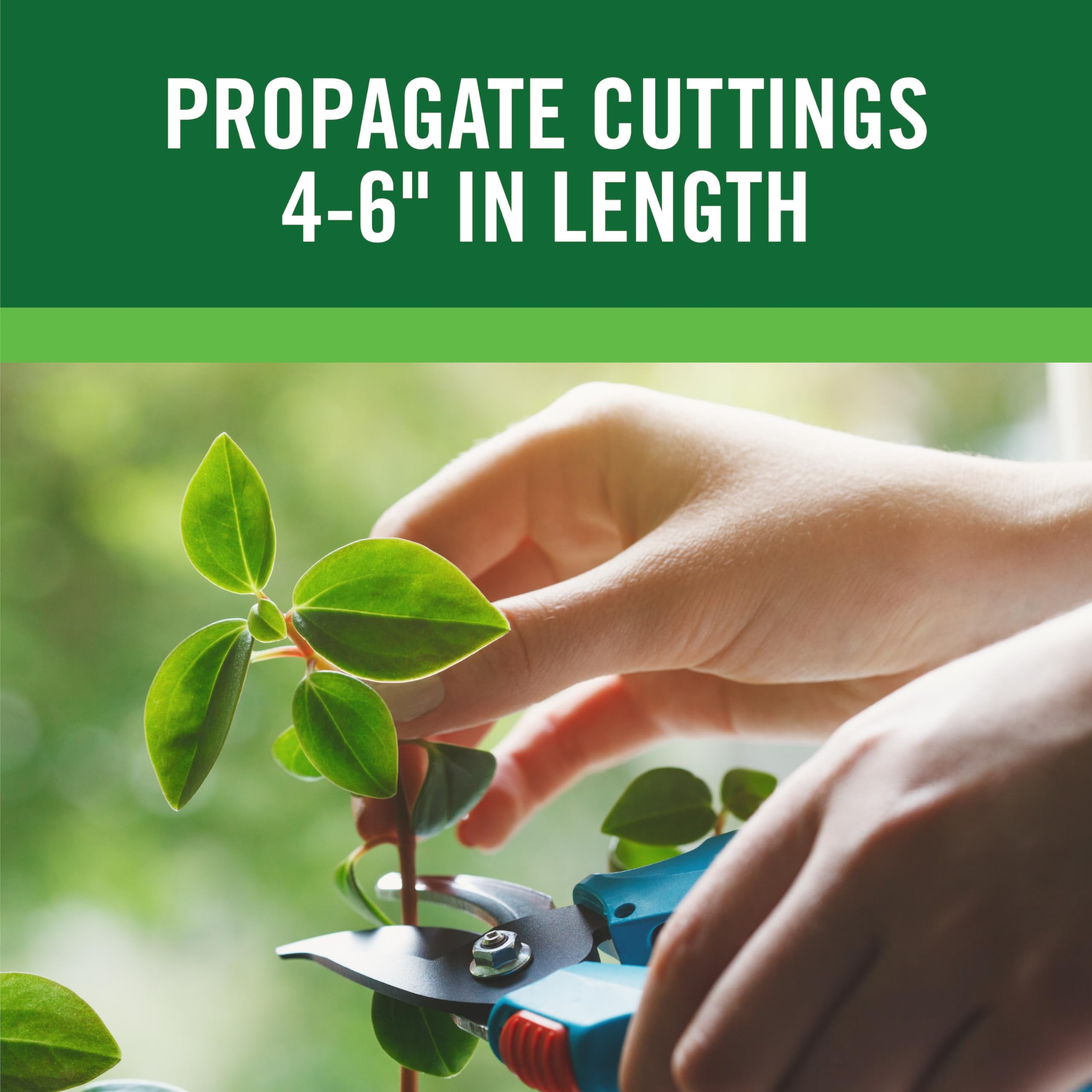 Gardentech RootBoost active ingredient highlight signals proven rooting support.