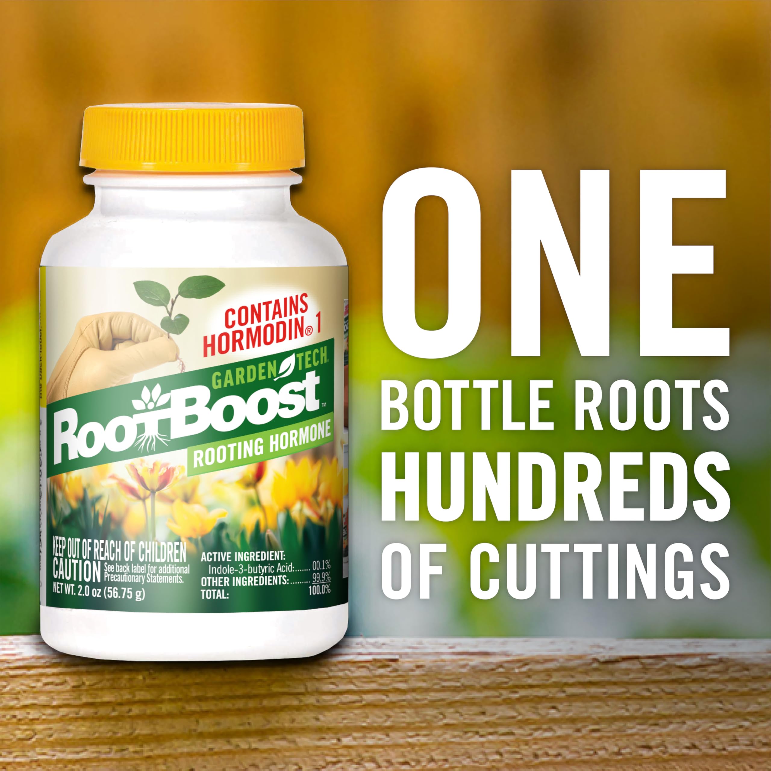 Gardentech RootBoost cutting and dip setup enables simple propagation.