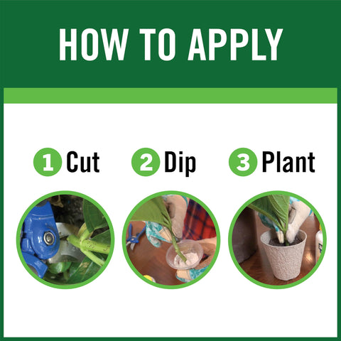 Gardentech RootBoost indoors helps healthy cuttings take root.