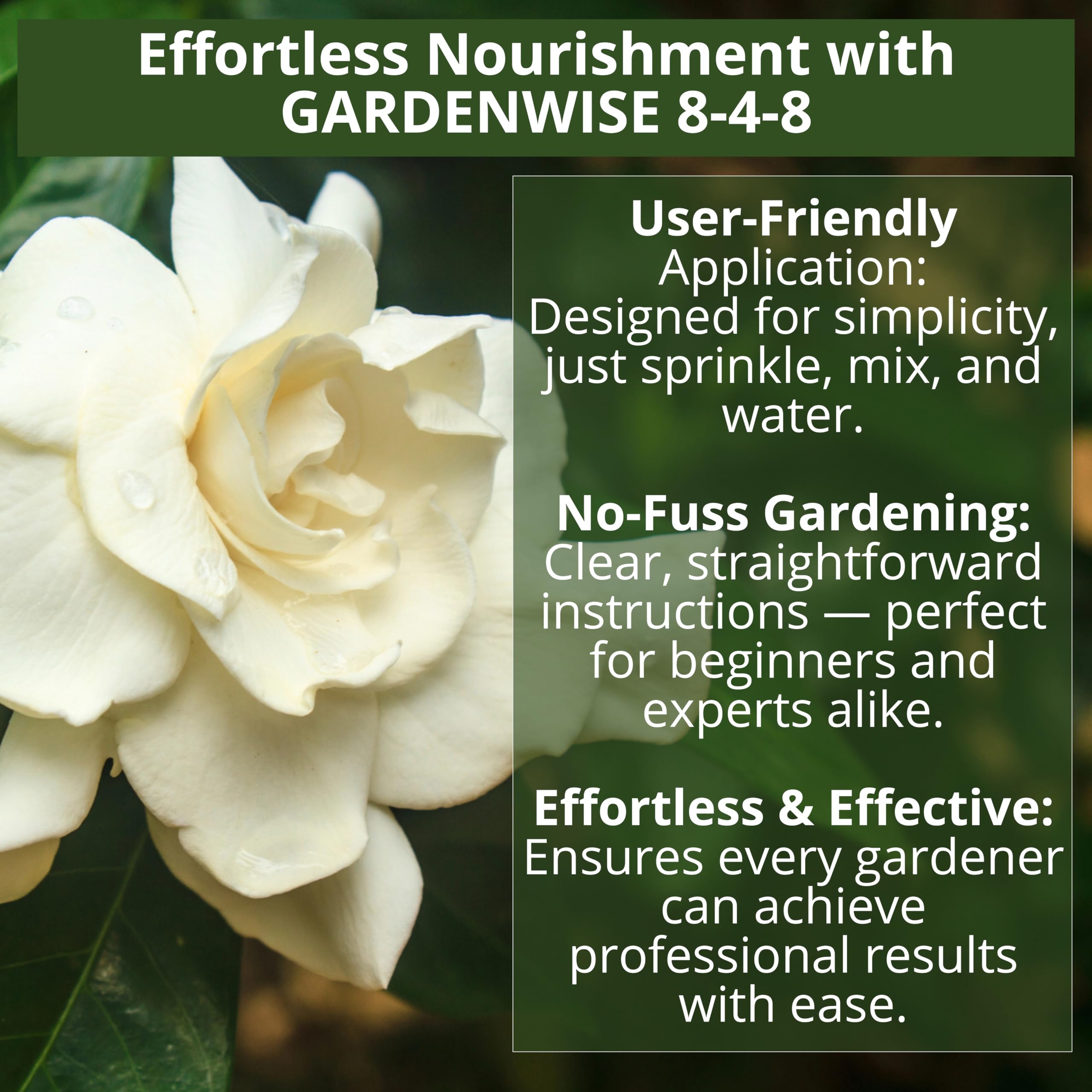 GardenWise 8-4-8 gardenia and hydrangea nourishment for lush blooms