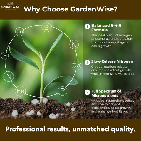 GardenWise apply-around-citrus-trees scene demonstrating easy, even feeding