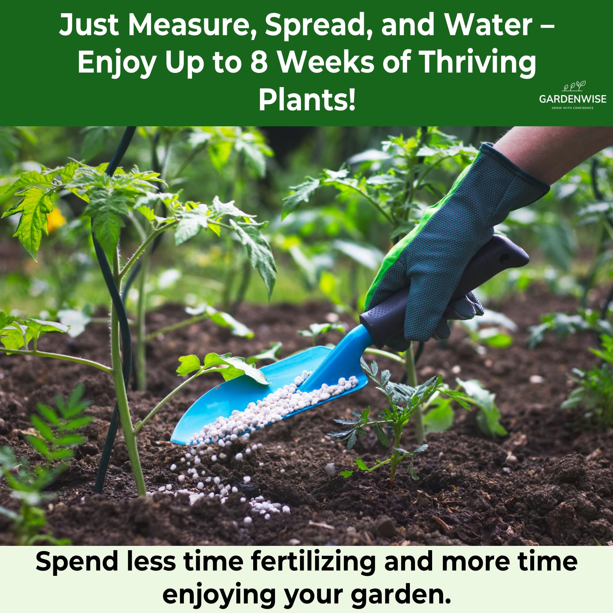 GardenWise arborvitae and shrub fertilizer granules promote steady root health.