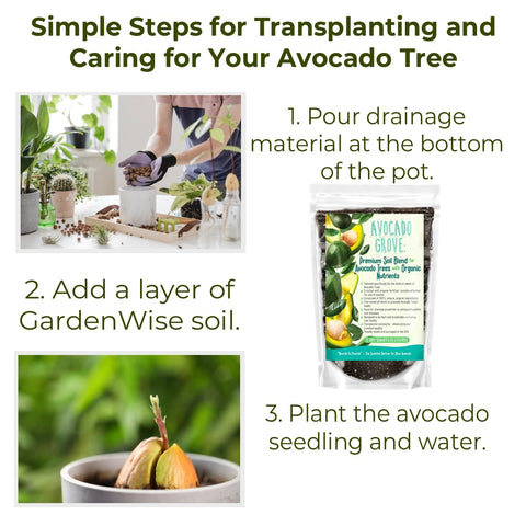 GardenWise Avocado Tree Soil drainage components close-up featuring perlite and sand