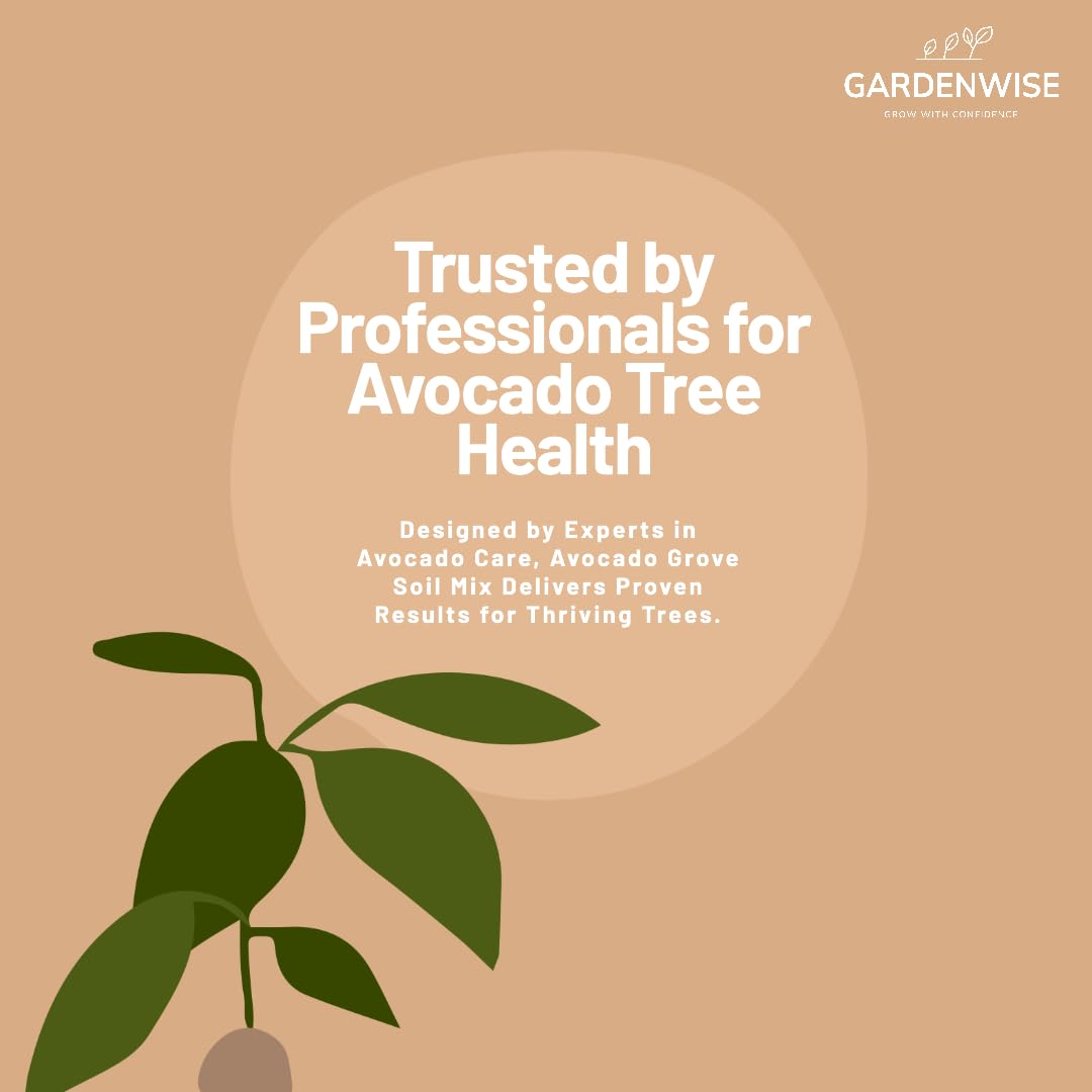 GardenWise Avocado Tree Soil indoor-use setup in a pot