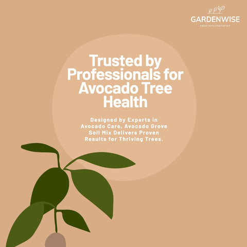 GardenWise Avocado Tree Soil indoor-use setup in a pot