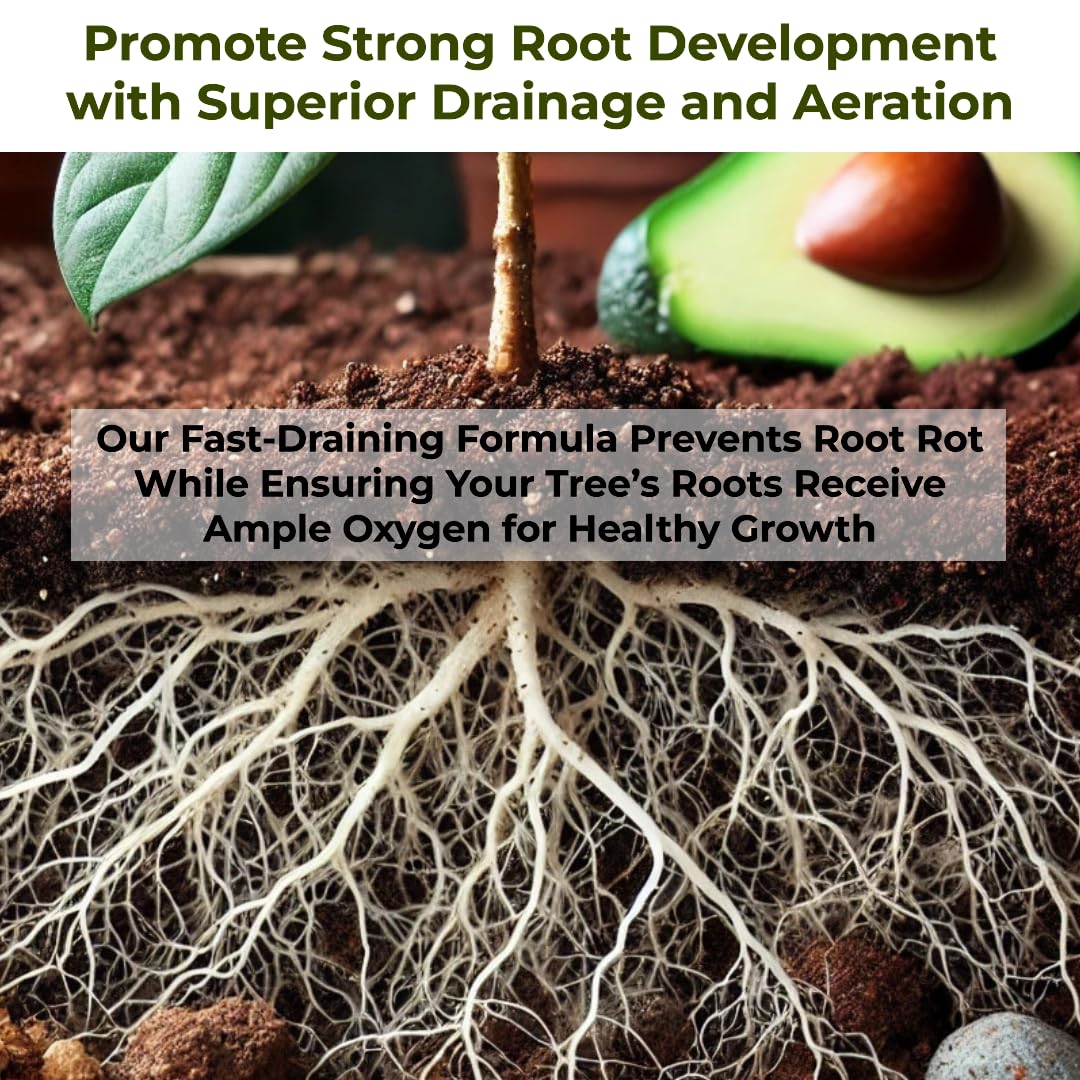 GardenWise Avocado Tree Soil outdoor-use planting in a container