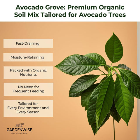 GardenWise Avocado Tree Soil root-health close-up emphasizing aeration