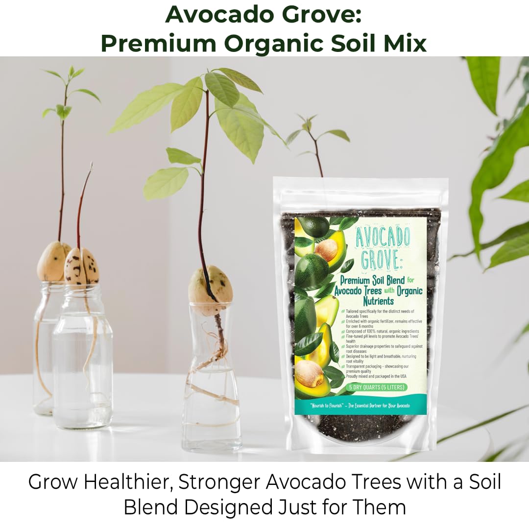 GardenWise Avocado Tree Soil texture close-up showing airy mix and drainage