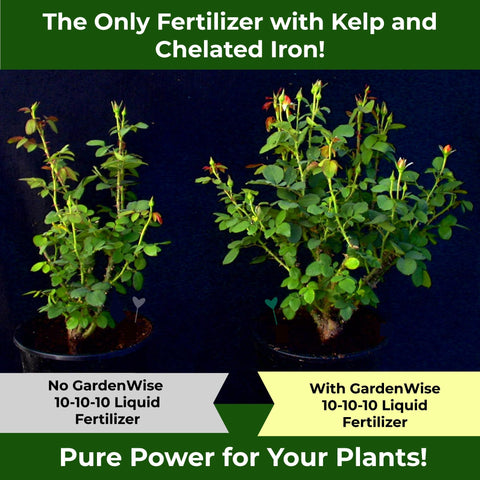 GardenWise chelated iron 6% label supports emerald green leaves and resilience.