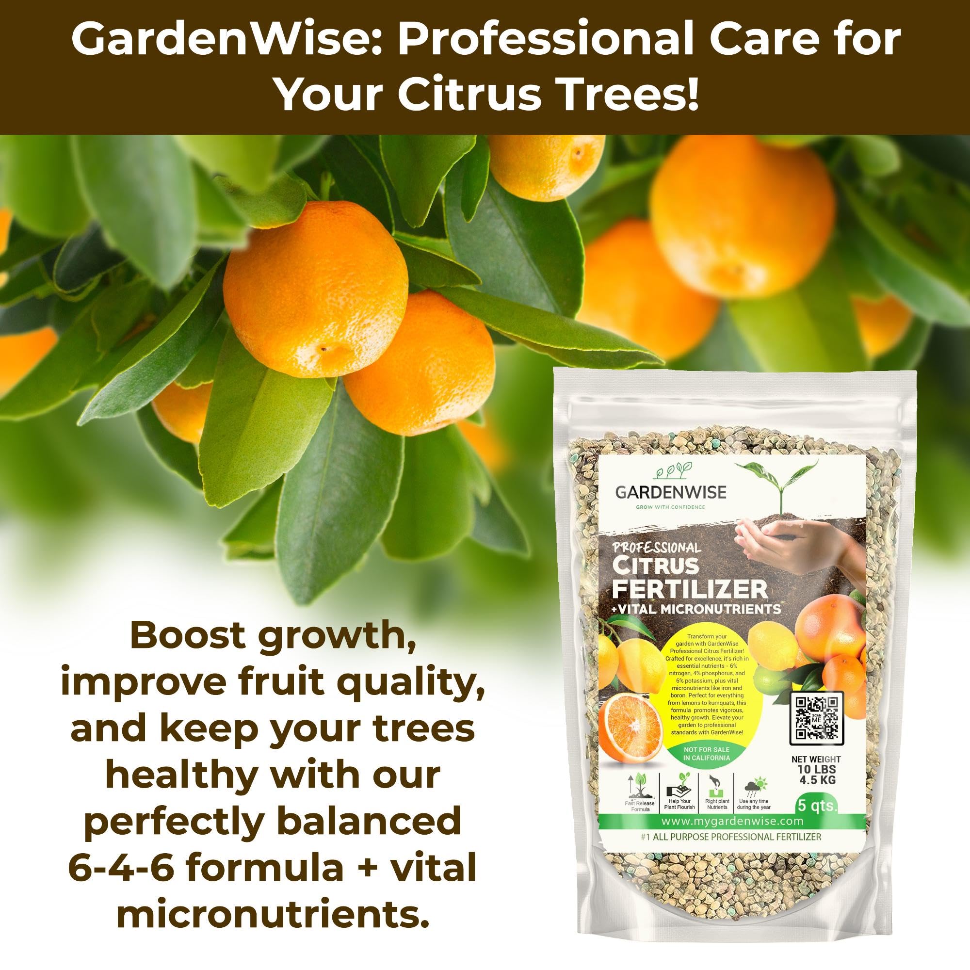GardenWise fertilizer being sprinkled around citrus trees for even coverage.