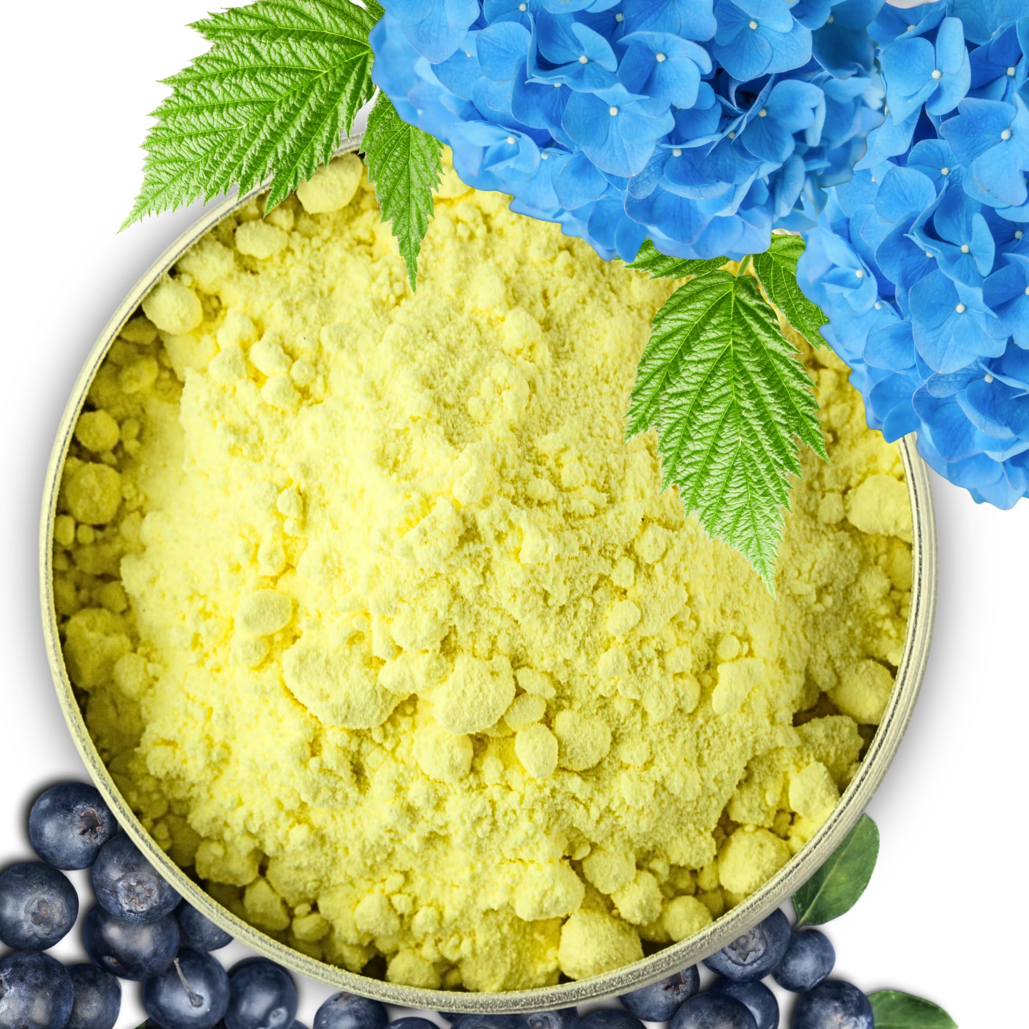 GardenWise Elemental Sulfur powder for soil acidification supports vibrant blooms and healthy growth.
