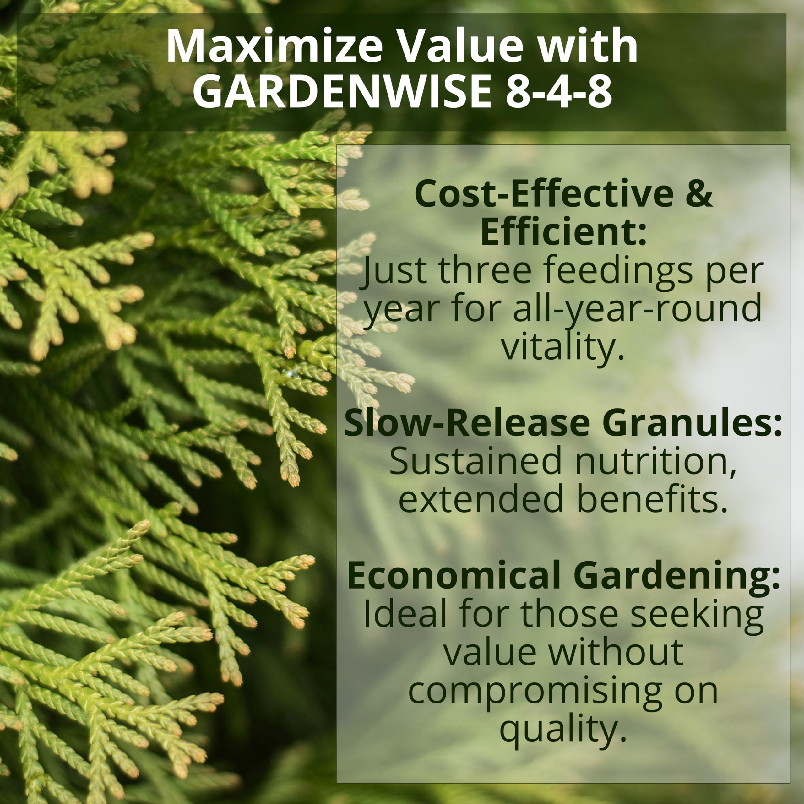 GardenWISE evergreen shrubs receive slow-release nourishment for year-round health.
