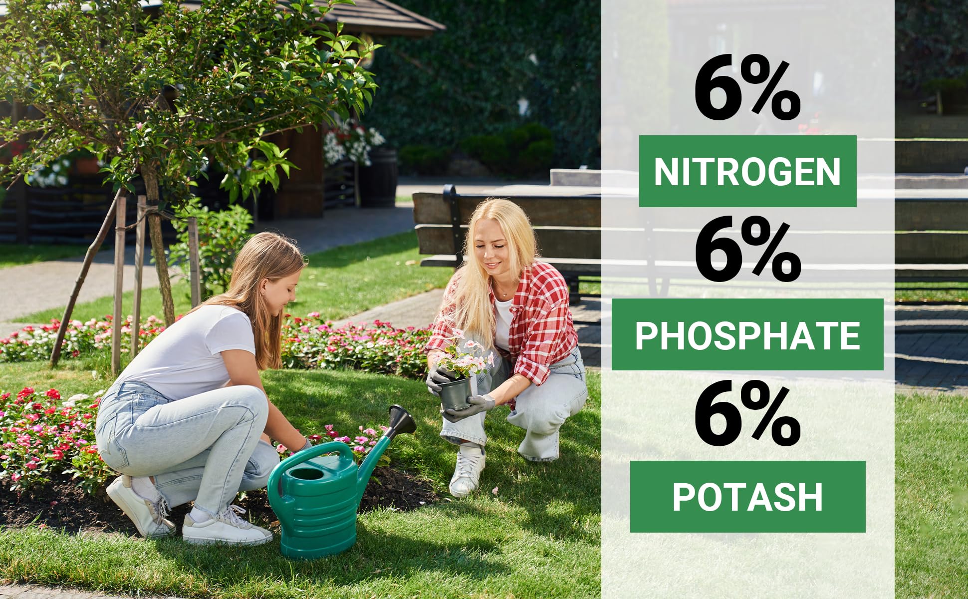 Gardenwise flower bed boost demonstrates bloom-friendly nutrition for vibrant blooms.