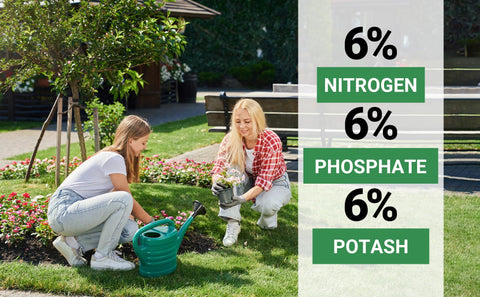 Gardenwise flower bed boost demonstrates bloom-friendly nutrition for vibrant blooms.