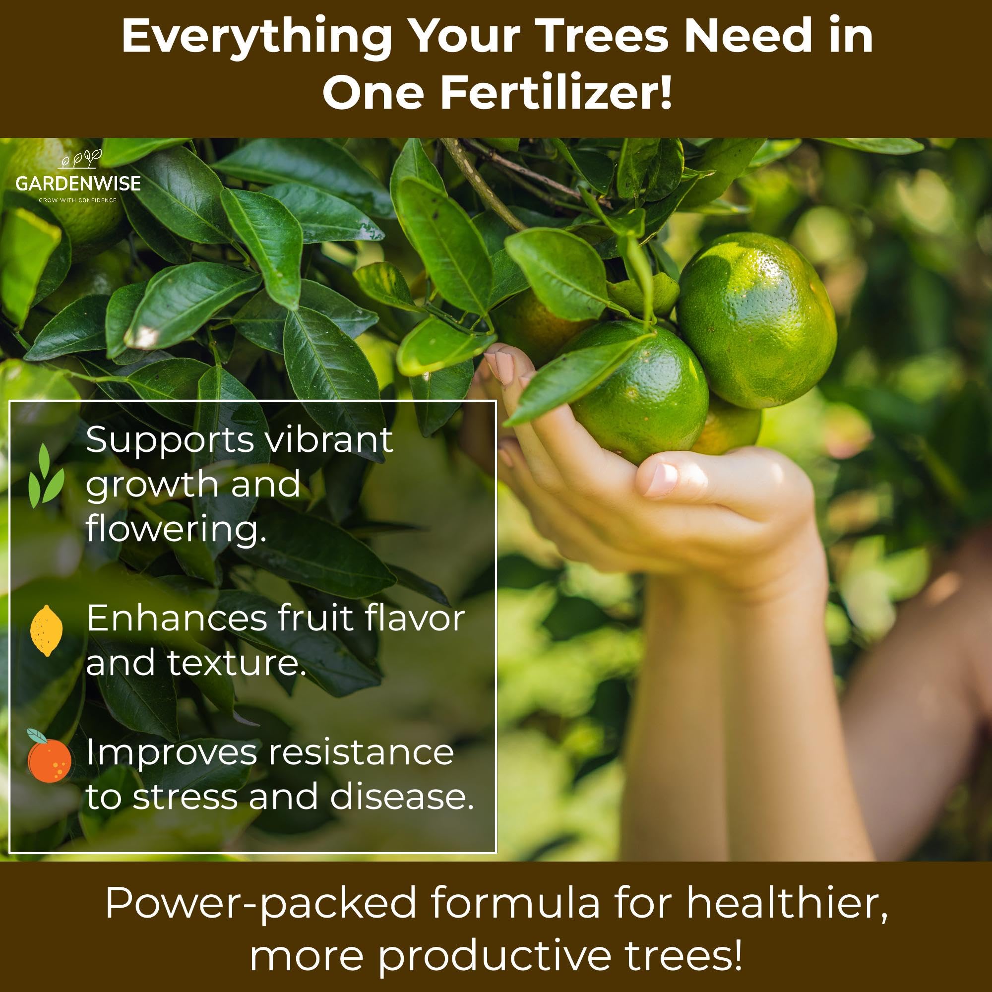 GardenWise orange fruit harvest with fragrant, vibrant citrus.