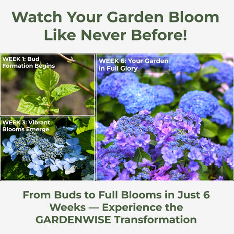 GardenWise hydrangea fertilizer in a versatile five-quart bottle.
