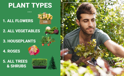 Gardenwise indoor plants scene promotes thriving houseplants with balanced NPK.