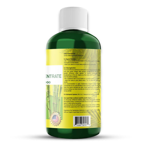 GardenWise kelp concentrate being applied to Lucky Bamboo highlights gentle, nutrient-rich soil and water feeding.