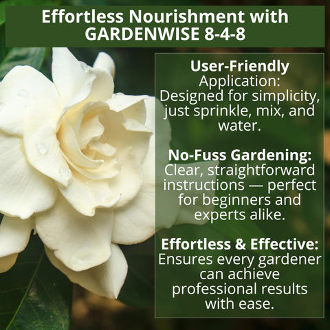 GardenWISE magnolia tree flourishes with steady, long-lasting nutrition.