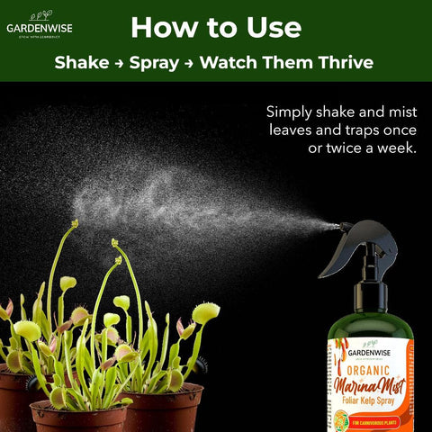 GardenWise Marina Mist misting sundews promotes healthy, responsive leaves.