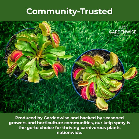 GardenWise Marina Mist targets traps, aiding prey capture with organic kelp nutrients.
