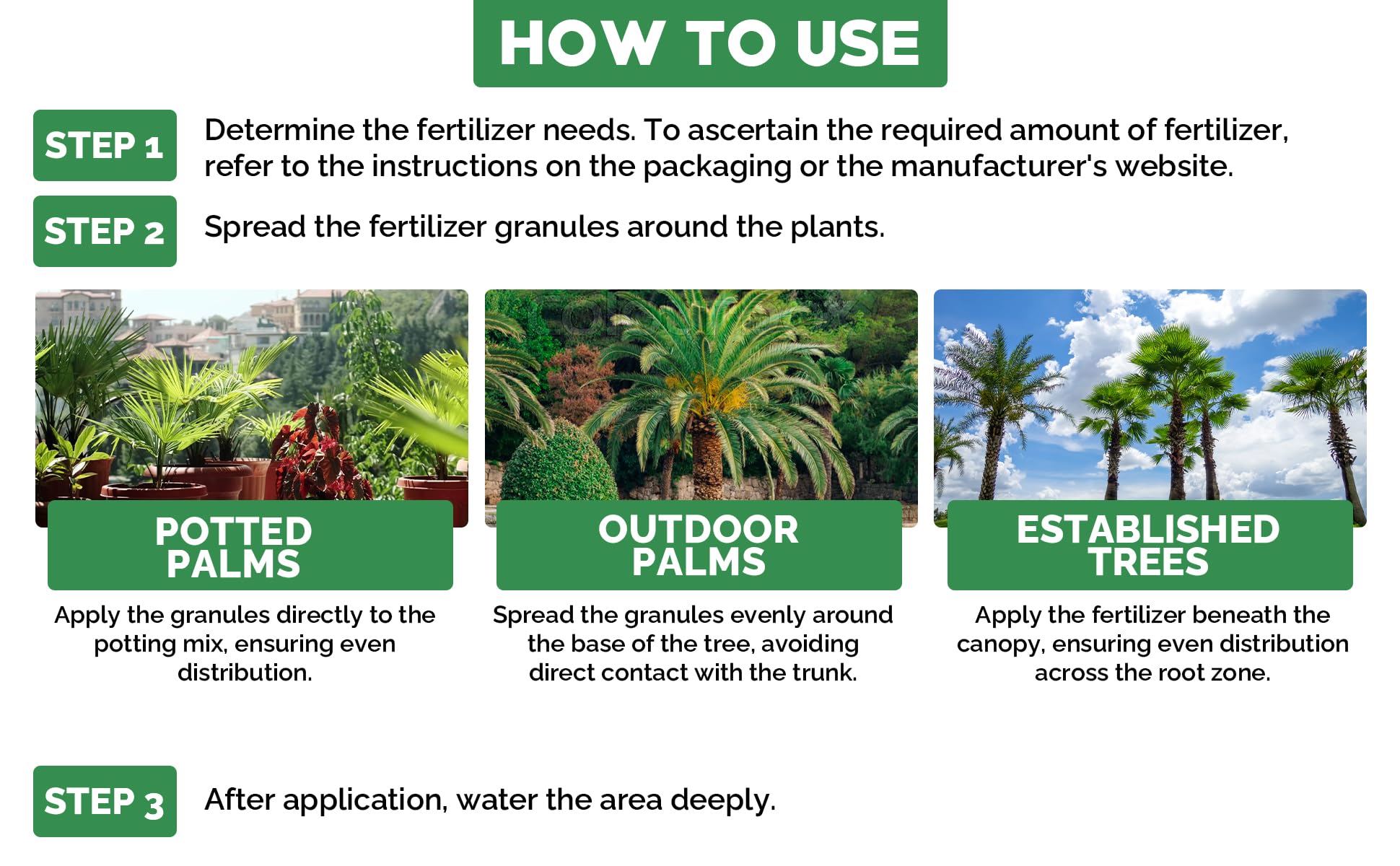 Gardenwise palm canopy growth in a lush tropical setting.
