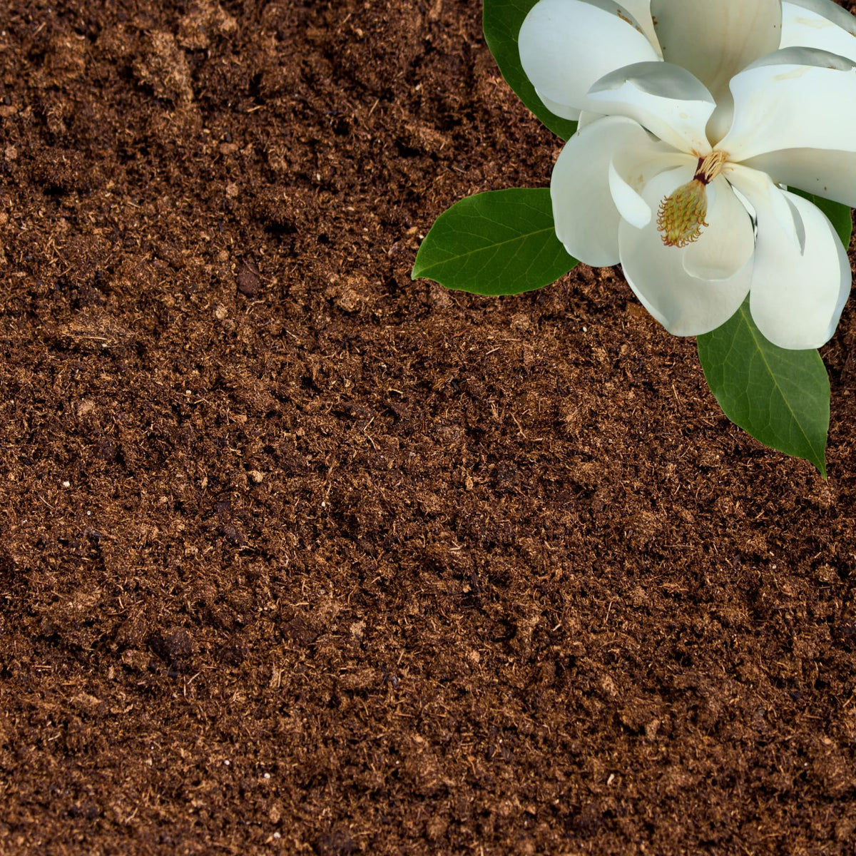 GardenWise peat moss bag closeup highlights fluffy texture for quick hydration and better mixing.