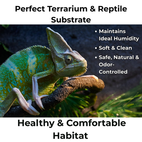 GardenWise reptile bedding image demonstrates clean substrate that retains humidity.