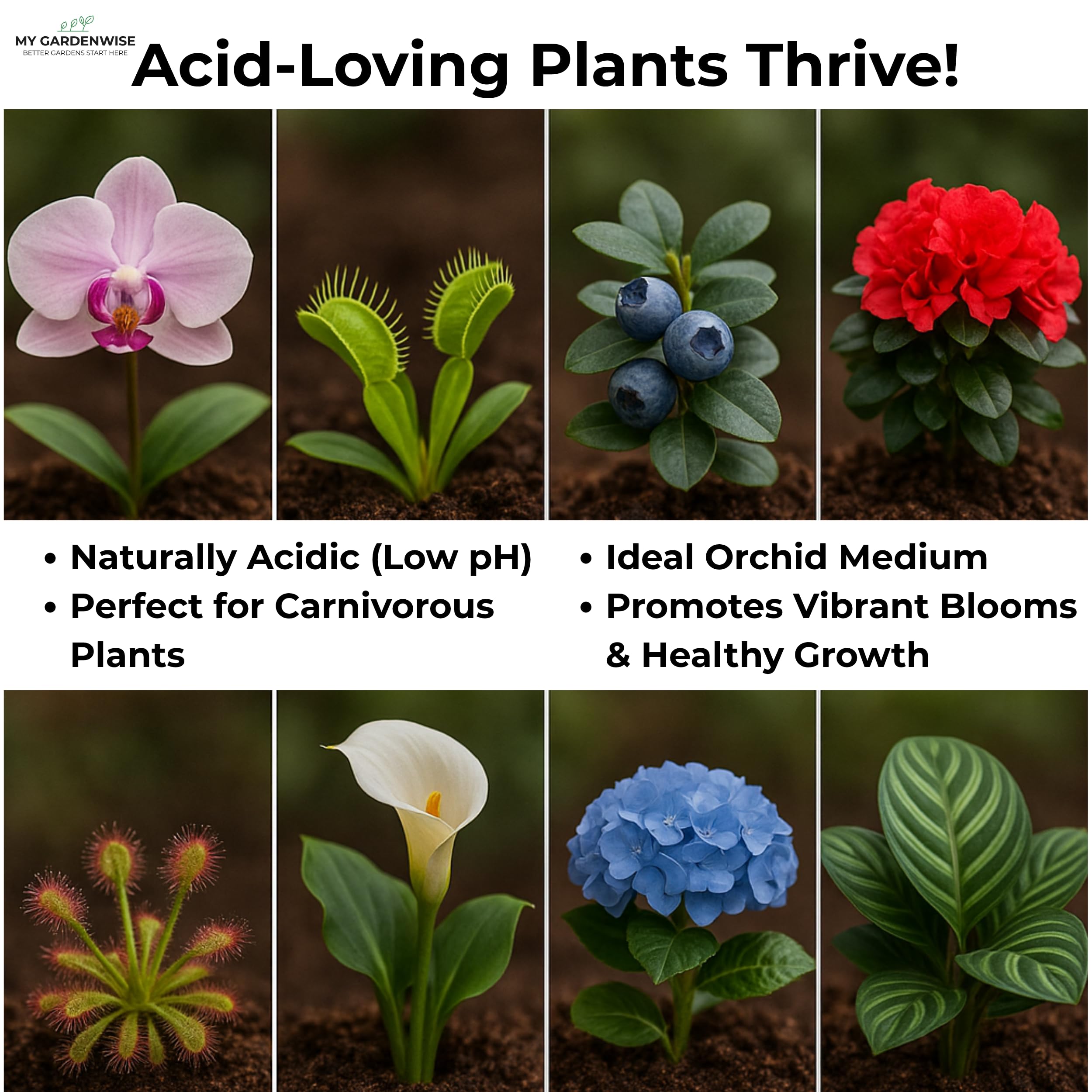 GardenWise terrarium humidity bedding showing soft, clean substrate that maintains moisture.