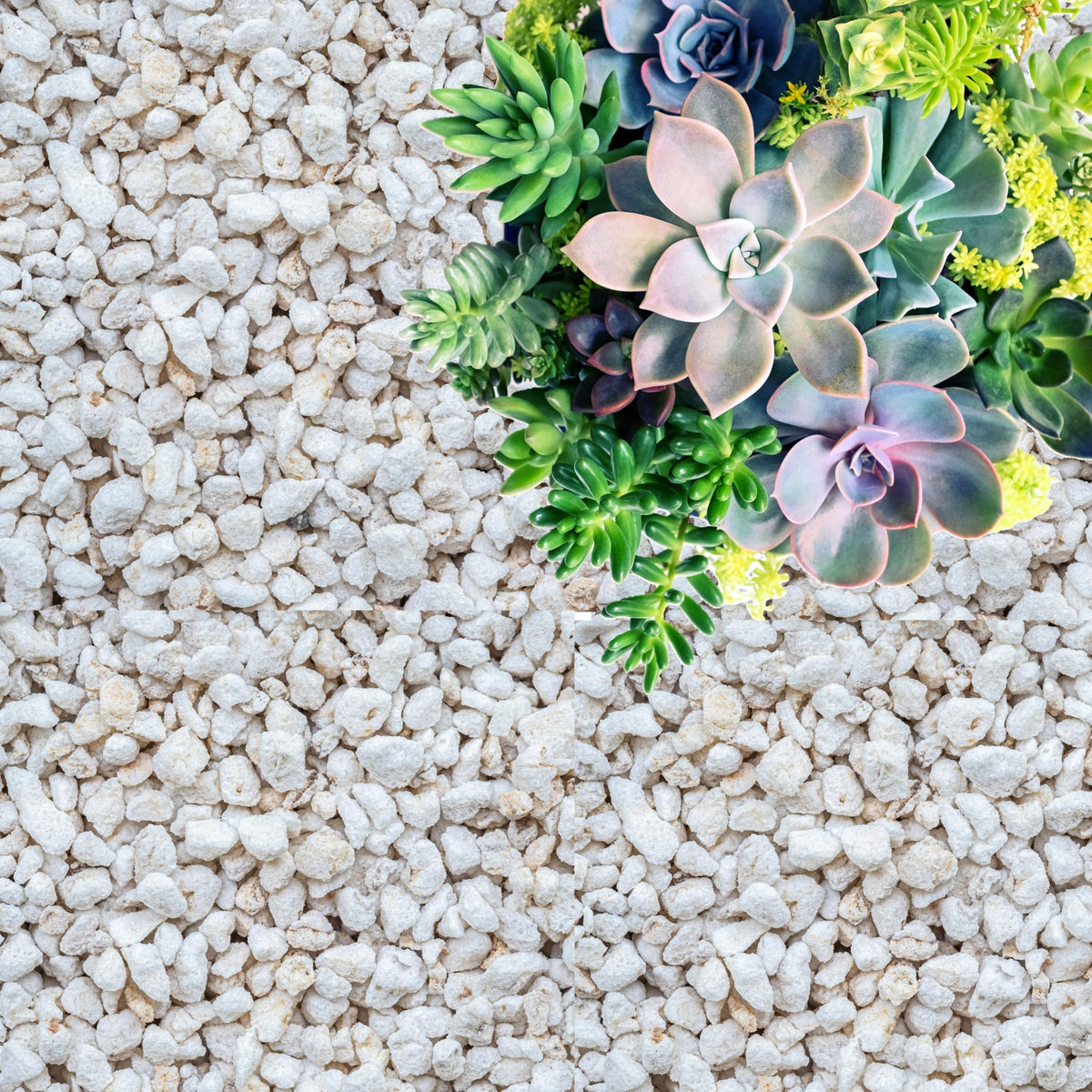 GARDENWISE Perlite coarse chunks boost drainage and root aeration for healthy indoor plants.