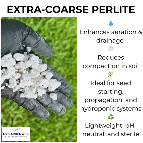 Seed-starting setup using GardenWise Perlite Grade 4 for germination support