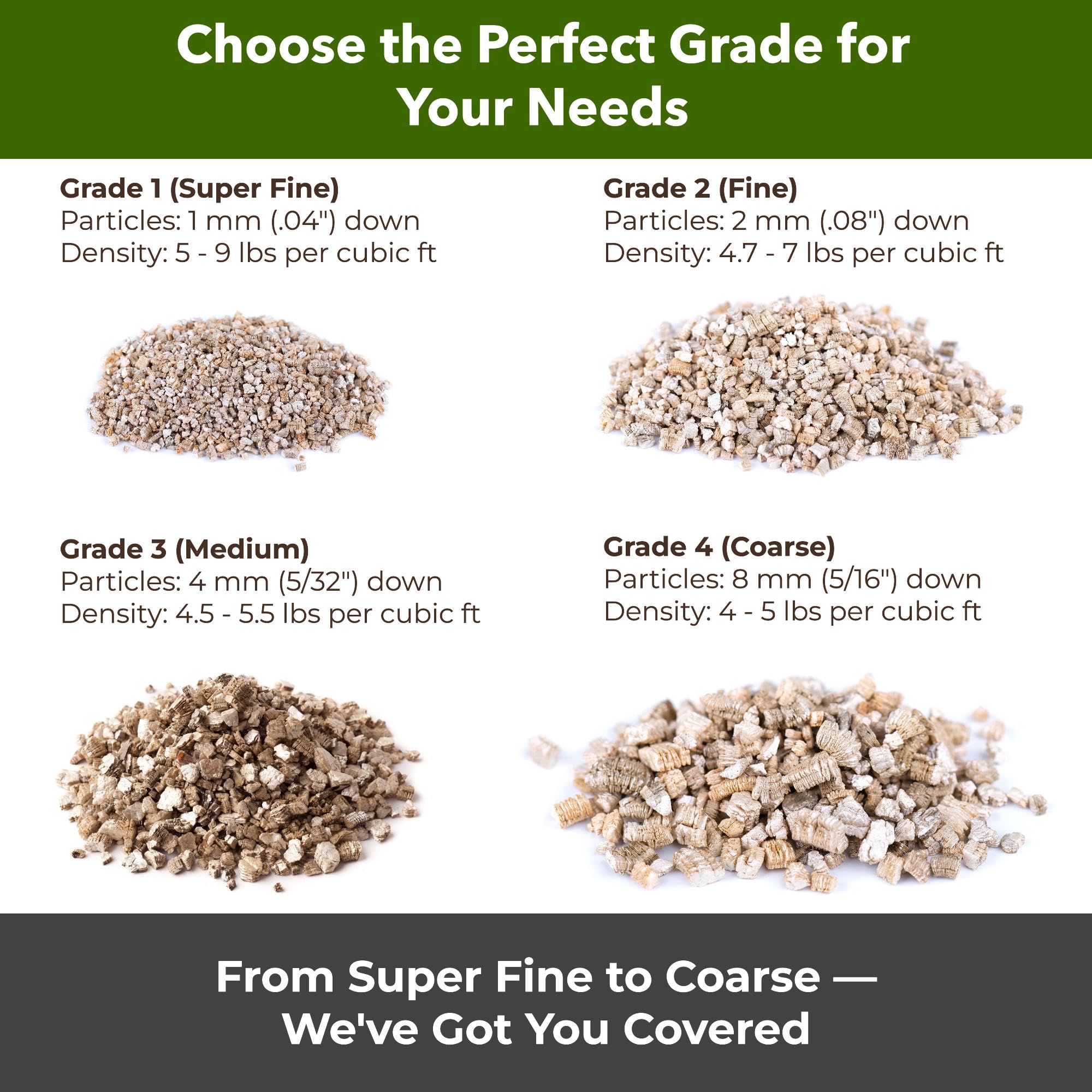 Gardenwise rooting cuttings ideal media promoting strong root establishment.