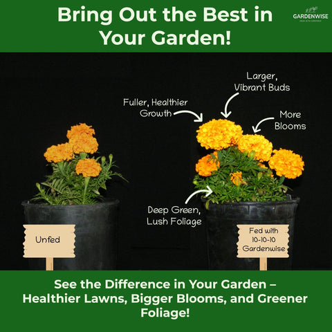 GardenWise rose granules nourish blooms with steady nutrient supply.