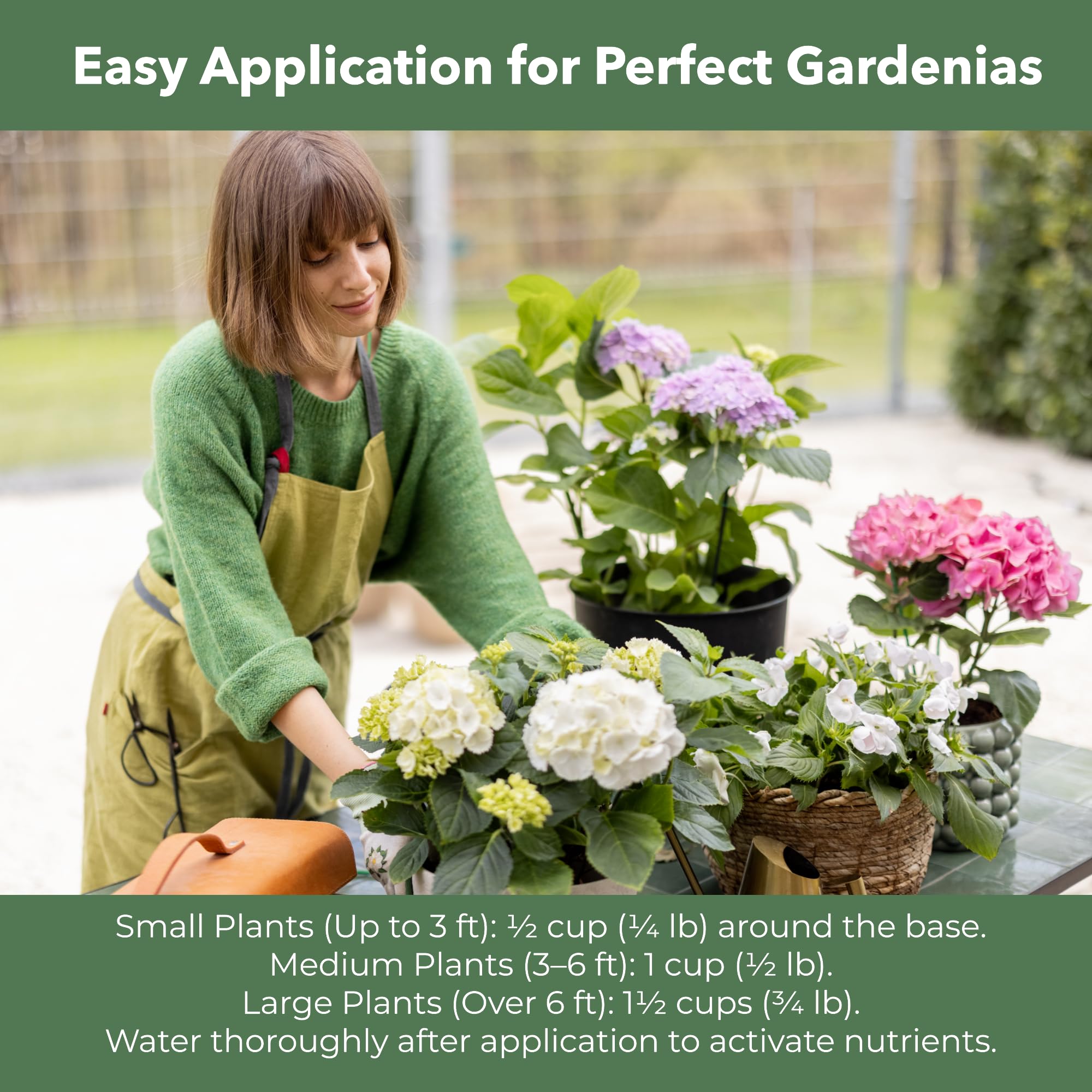 GardenWise three-month nutrient release for sustained feeding