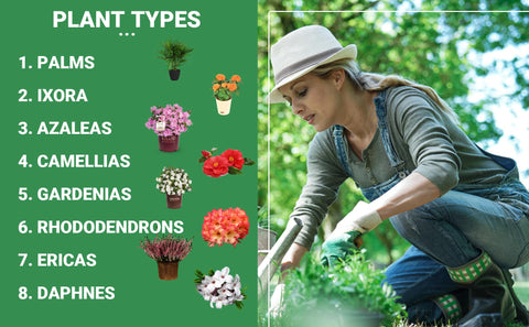 Gardenwise tropical potting mix transformation for bamboo and Yucca.