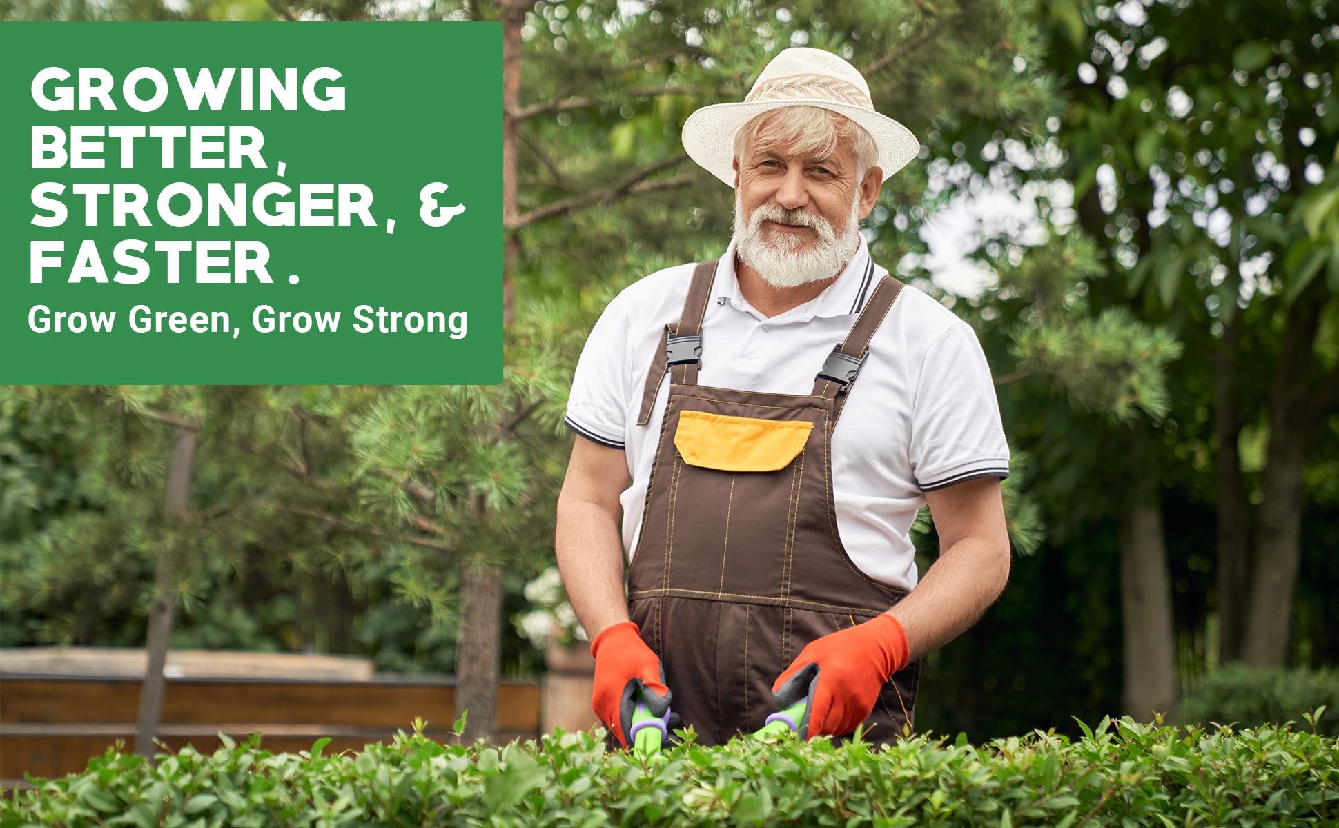 Gardenwise vegetable garden setup supports consistent feeding and healthy yields.