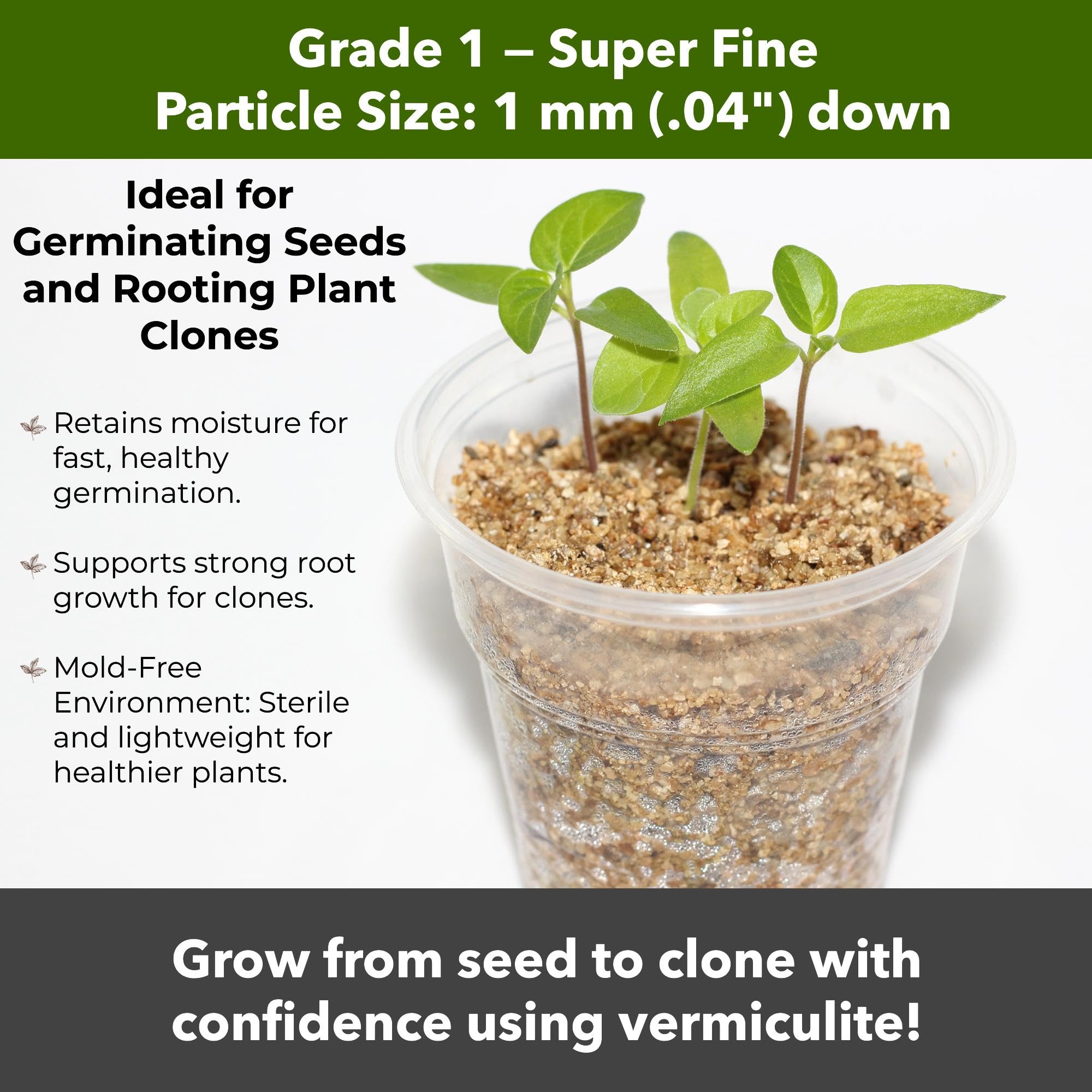 GardenWise Vermiculite used as substrate for oyster and shiitake mushrooms.