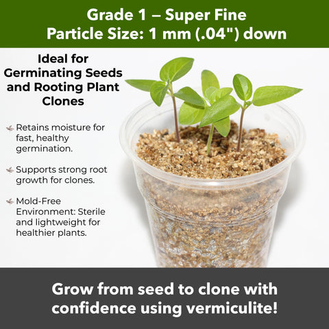 Gardenwise vermiculite substrate for mushroom cultivation like shiitake and oyster.