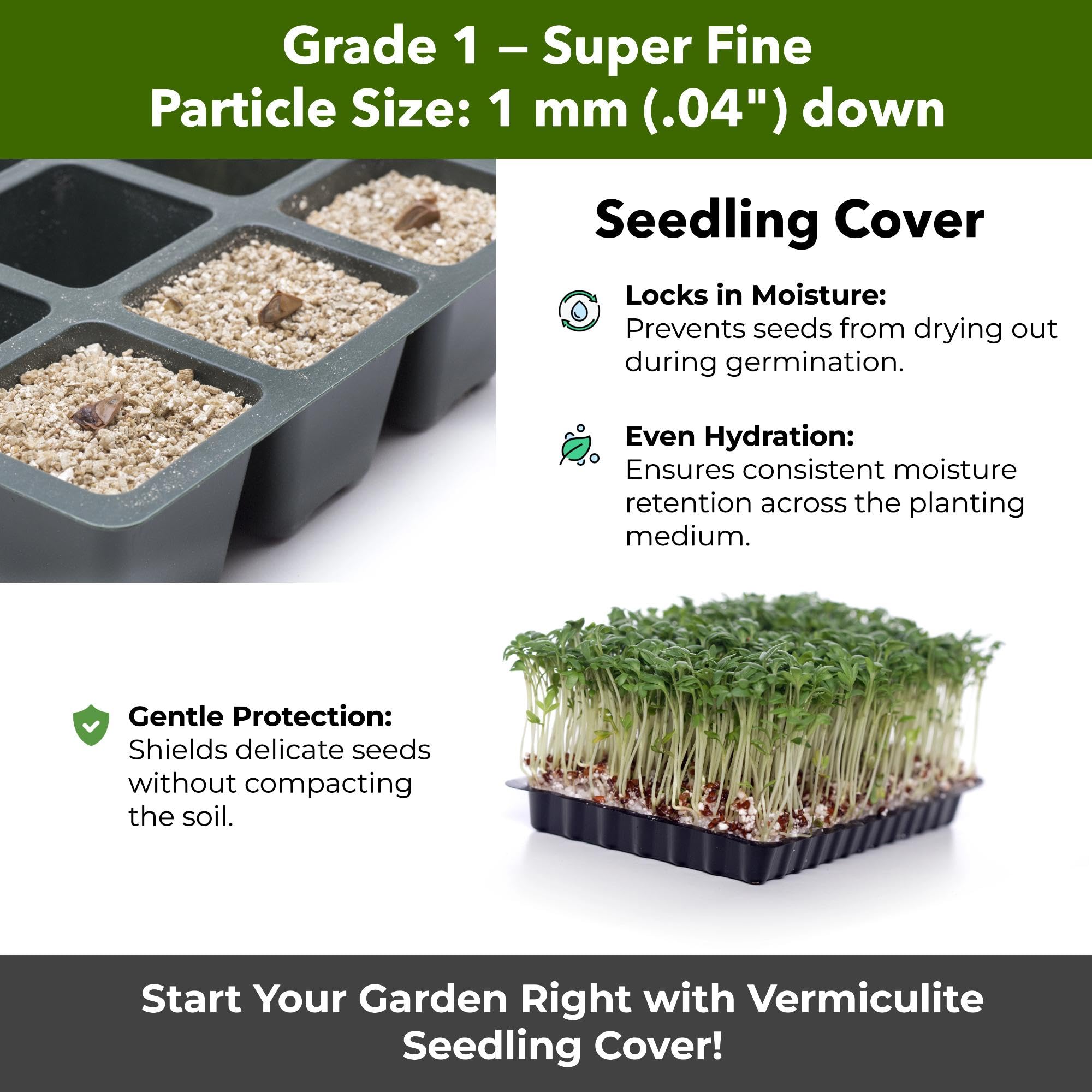 GardenWise Vermiculite around cuttings promotes strong root development.