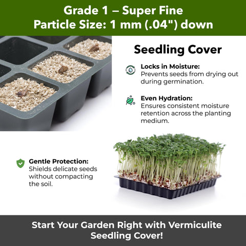 GardenWise Vermiculite around cuttings promotes strong root development.