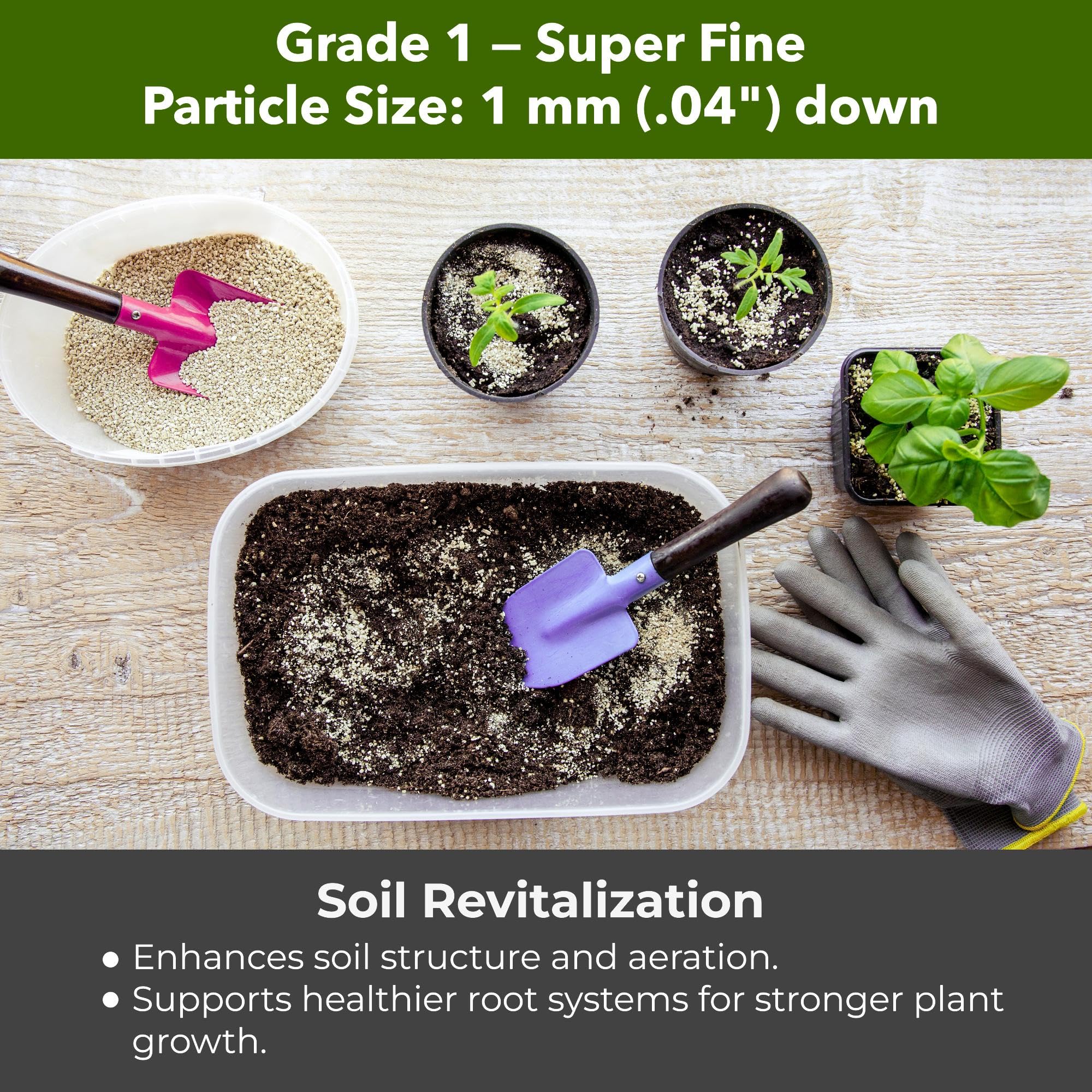 GardenWise Vermiculite in terrarium substrate maintains humidity for plants.