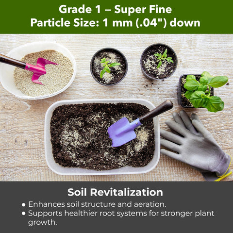 GardenWise Vermiculite in terrarium substrate maintains humidity for plants.