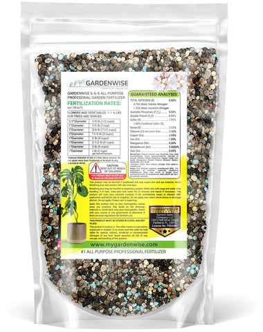 Gardenwise winter care scene showing steady feeding for year-round growth.