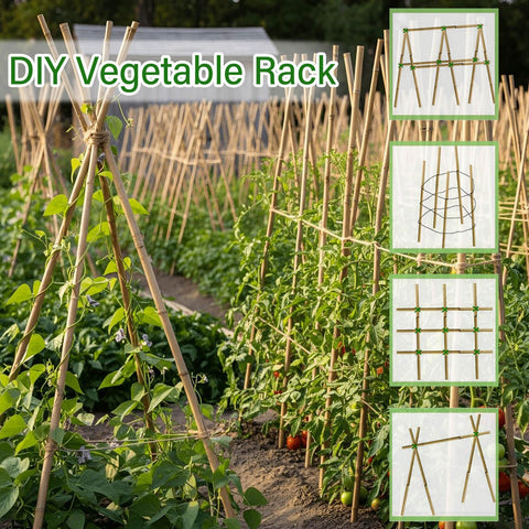 Gardgue bamboo stakes provide durable support for climbing bean vines.