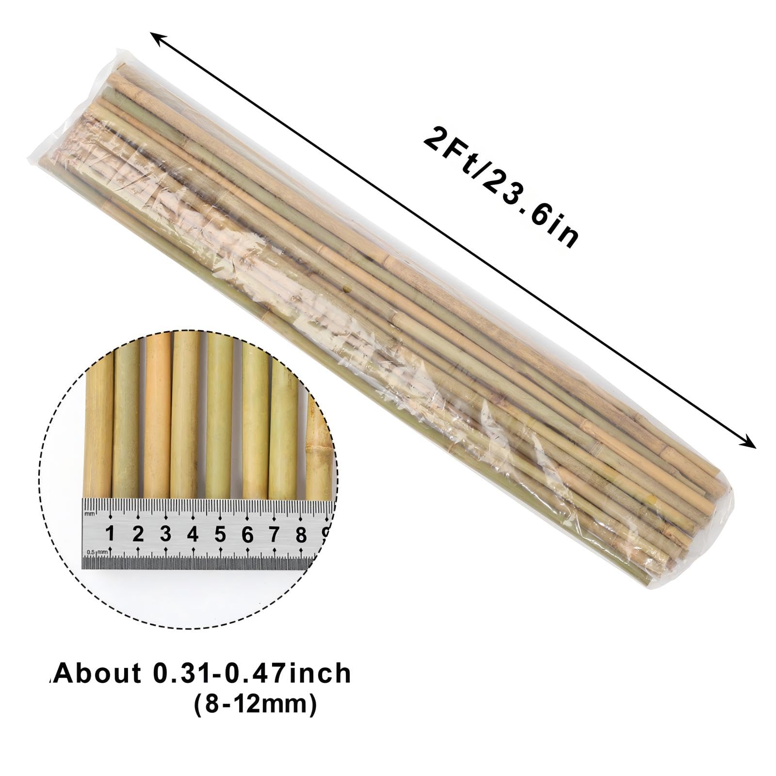 Gardgue bamboo stake gently supports flowering plants for upright display.
