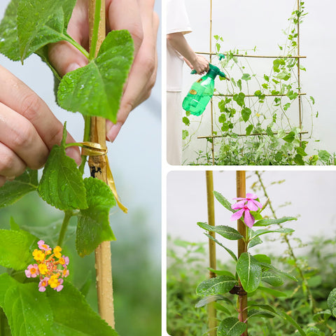 Gardgue stake supports young trees with natural reinforcement in a yard.