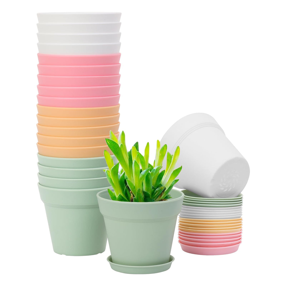 GARDIFE 20-pack 4-inch pot with matte finish for stylish indoor plant display.