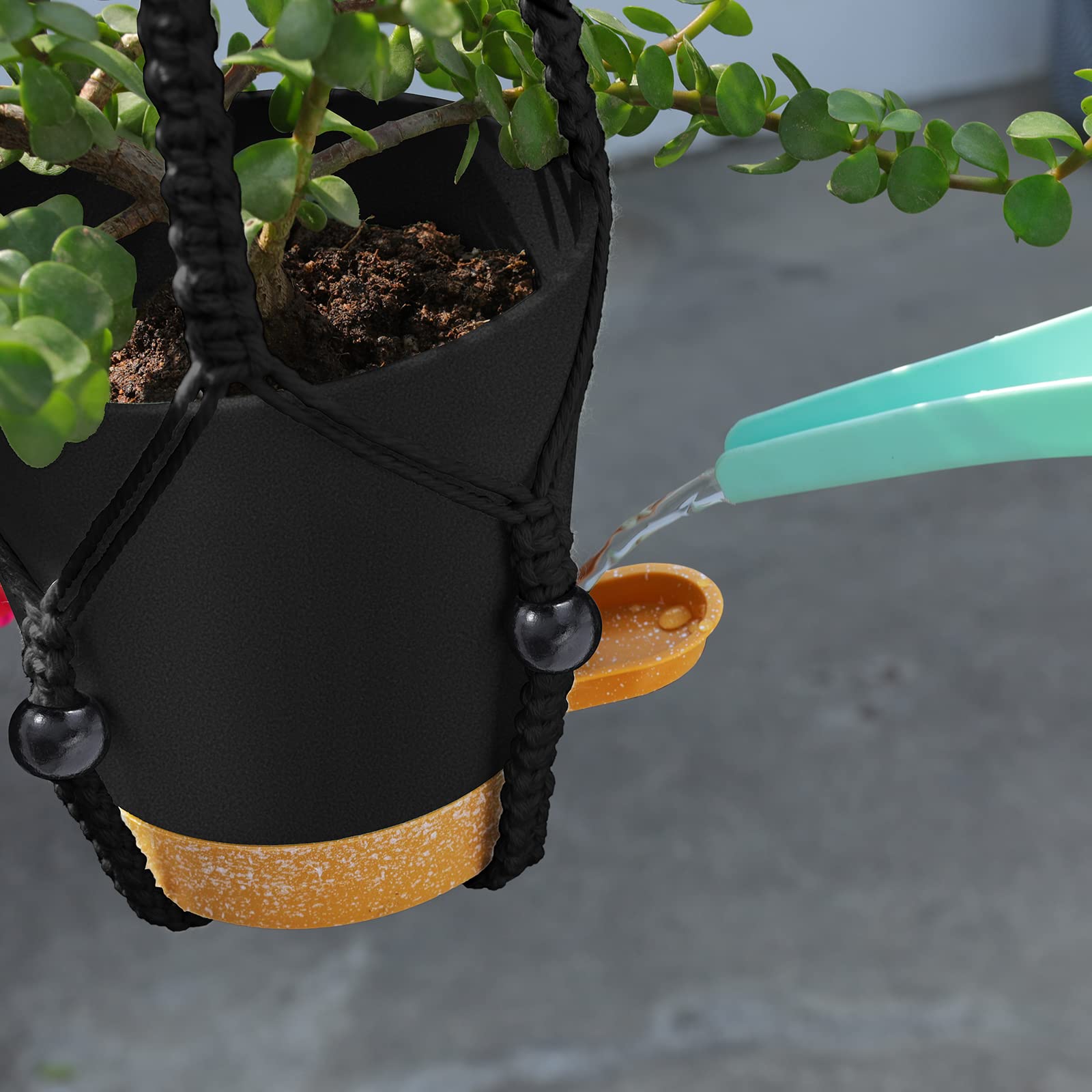 GARDIFE 5-inch pot pair supports compact herbs and succulents.