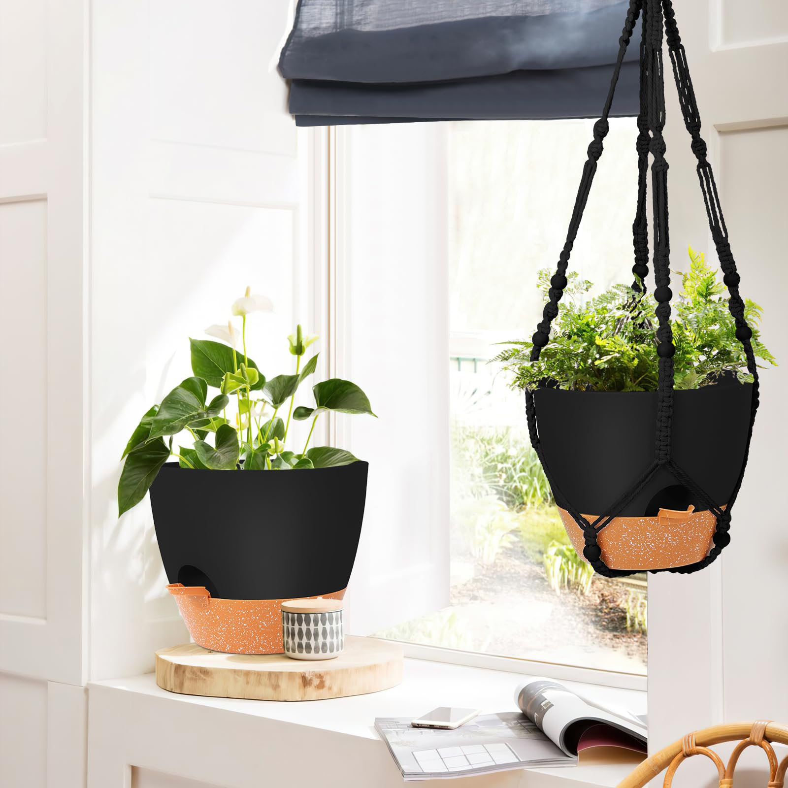 Ideal gift for plant lovers on occasions like birthdays or housewarmings.