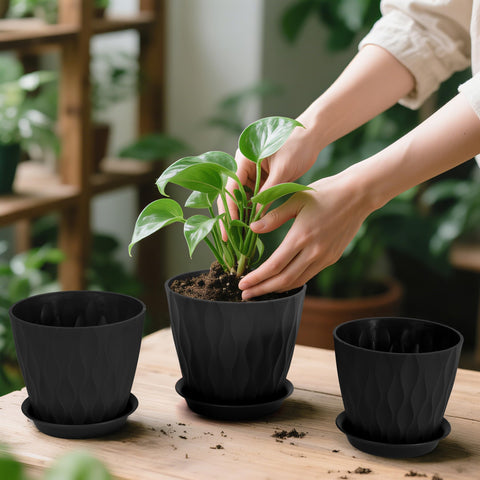 GARDIFE indoor-outdoor plant pots for orchids, succulents, herbs